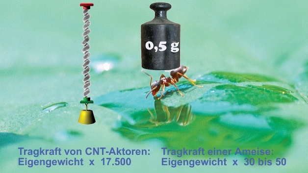Zehn Milligramm leichte Ameisen können nur das 30- bis 50-fache ihres Eigengewichts tragen. Garnaktoren auf der Basis von Carbon-Nanotubes schaffen das 17.700-fache ihres Eigengewichts.